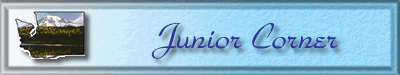 header_junior